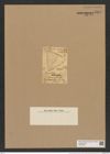 Triceratium moronense Grev. (de-Toni-Nr.: Genus 140, Species 3893) Zeichnungen Sammlung Grunow Nr. 7379 (NHMW-BOT-W0376445)
